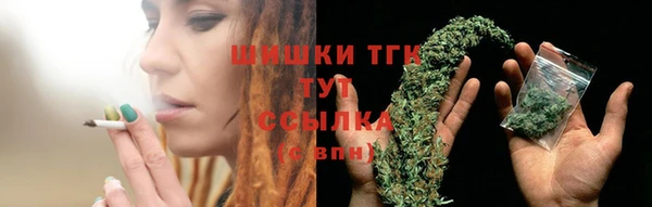 прущие грибы Осташков