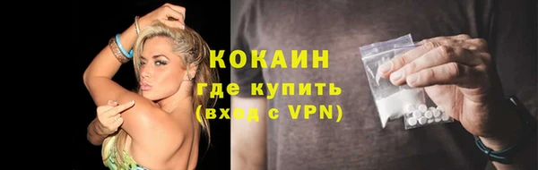прущие грибы Осташков