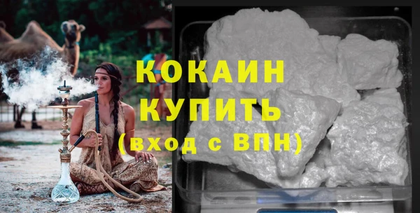 прущие грибы Осташков