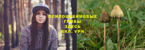 прущие грибы Осташков