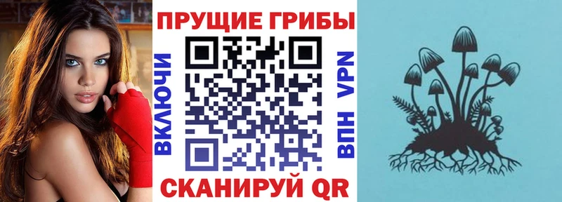 сайты даркнета телеграм  Киренск  Галлюциногенные грибы мухоморы 