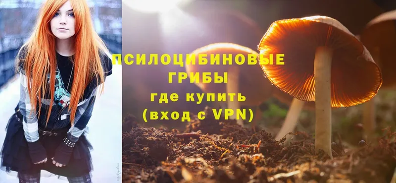 Галлюциногенные грибы Cubensis  Киренск 